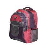 Aqsa ALB57 Fashionable Laptop Bag (Wine and Pink)